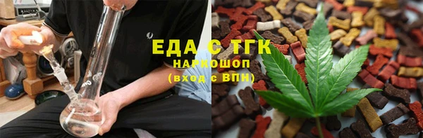 мдпв Инсар