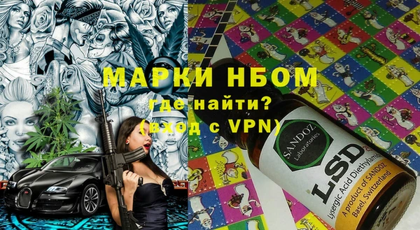 мдпв Инсар
