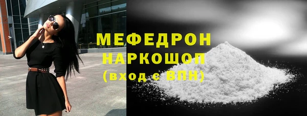 мдпв Инсар