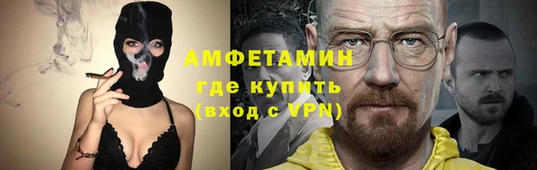 мдпв Инсар