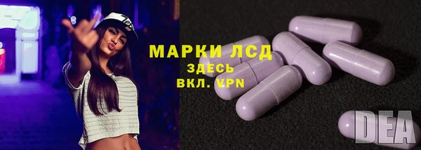 мдпв Инсар