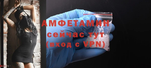 PSILOCYBIN Каменка