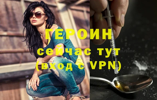 мдпв Инсар