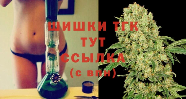 спайс Инта