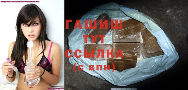 мдпв Инсар