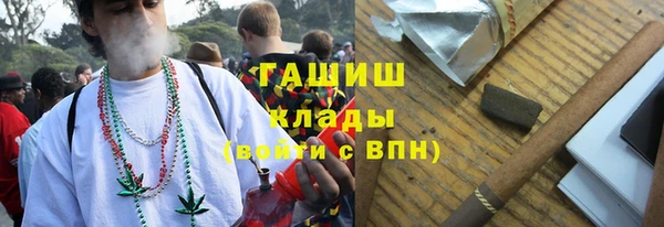 мдпв Инсар