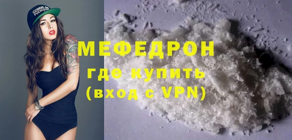 мдпв Инсар