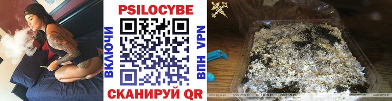 Галлюциногенные грибы GOLDEN TEACHER  Купить  Боровск 